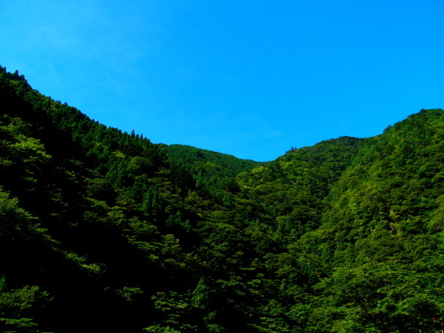 f0327061_20152168.jpg