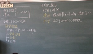 d0357065_23200140.jpg