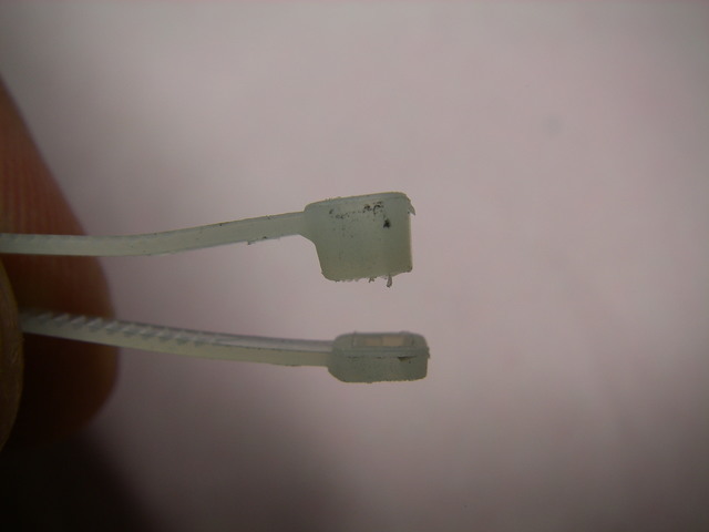 a0074069_18023538.jpg