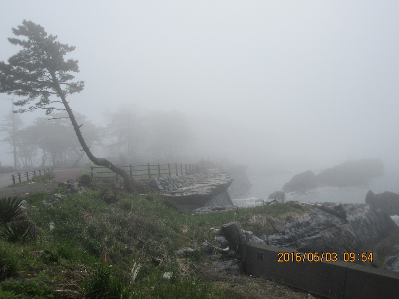 気仙沼（宮城県）日帰り_b0141970_13062612.jpg