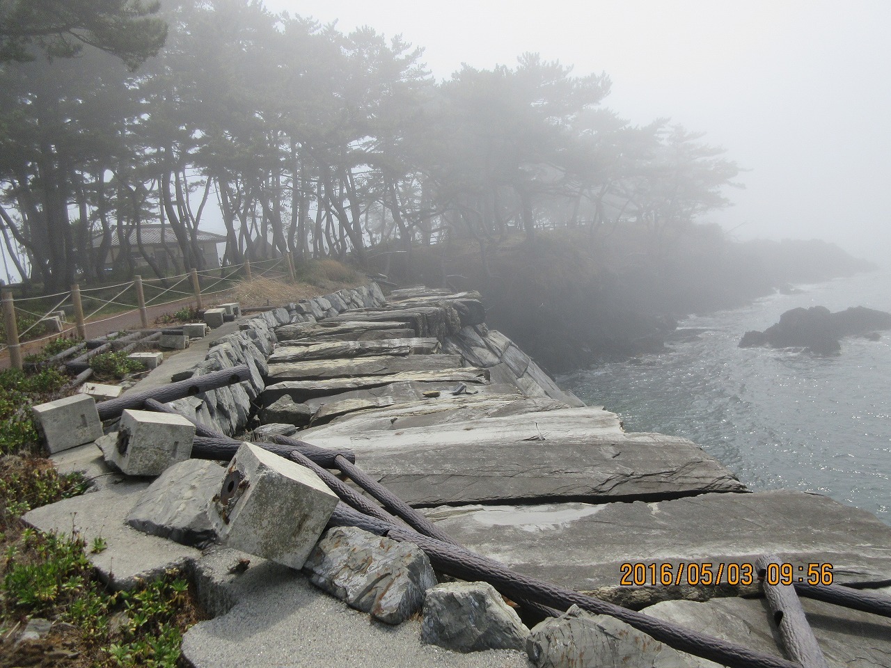 気仙沼（宮城県）日帰り_b0141970_13063257.jpg