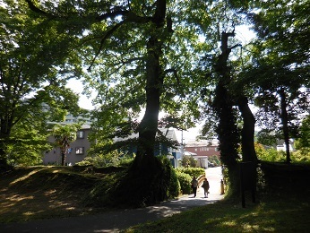 佐倉城_e0033570_11081633.jpg