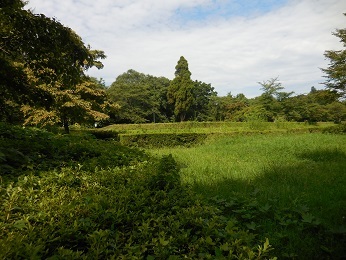 佐倉城_e0033570_11082471.jpg