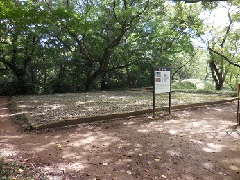 佐倉城_e0033570_11095514.jpg