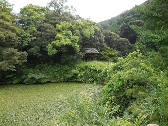 佐倉城_e0033570_11104429.jpg
