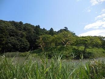 佐倉城_e0033570_11105130.jpg