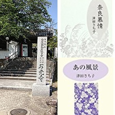 人気特価をすべて 津田さち子先生に「しきしきレタス巻になったカレーと仲間たち 文学・小説