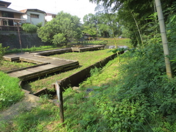 嵐の前の小川町城跡と羅漢ポタ　2_c0337875_21362790.jpg