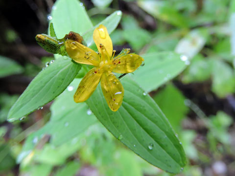 f0083977_17024172.jpg