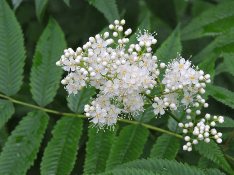f0083977_17284550.jpg