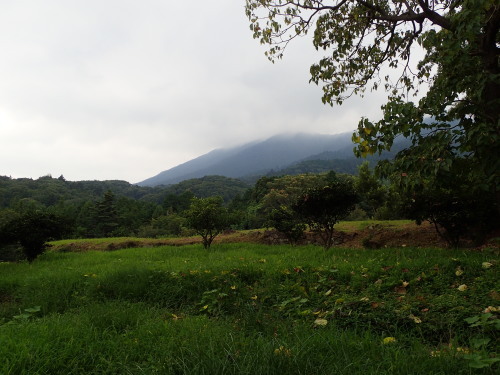 f0348480_05412615.jpg