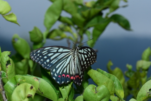 f0348480_06064443.jpg