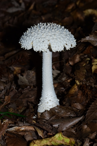 f0348480_06111123.jpg