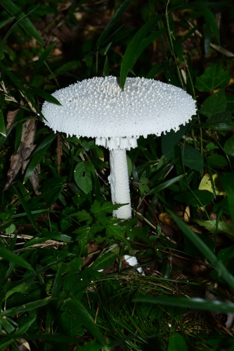 f0348480_06130965.jpg