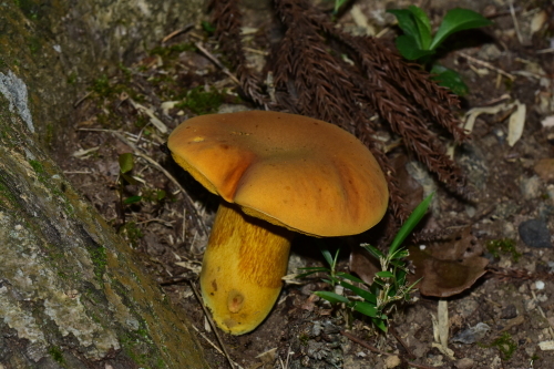 f0348480_06152438.jpg