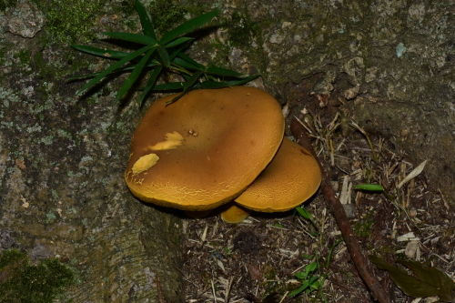 f0348480_06164278.jpg