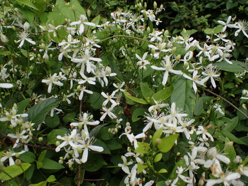 f0348480_06182011.jpg