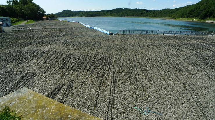 藻散布～厚岸町～標茶町　北海道71日目_c0212083_18175926.jpg