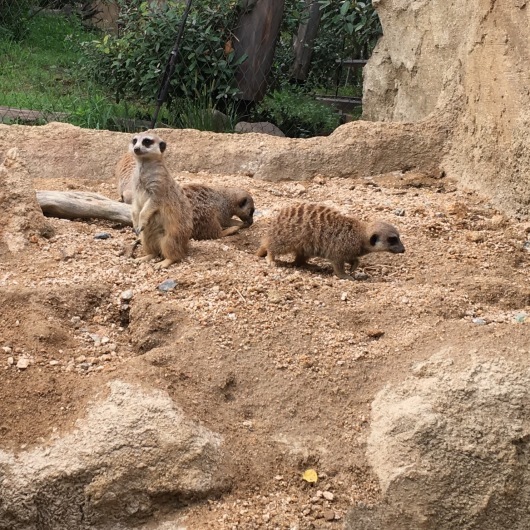 b0336787_22214514.jpeg