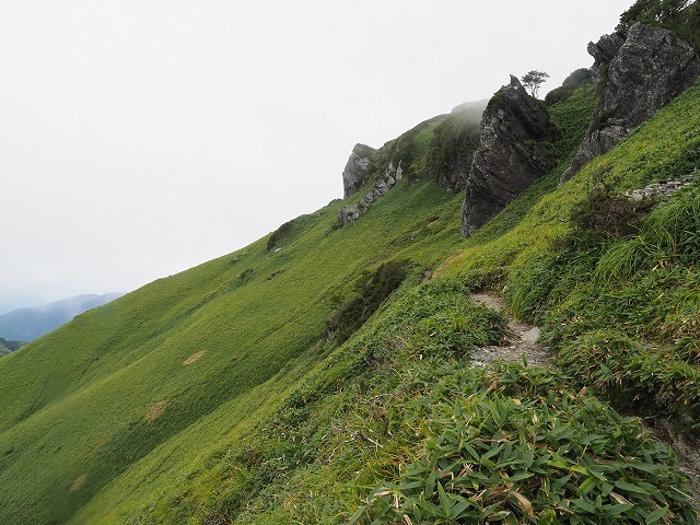 d0156387_20190213.jpg