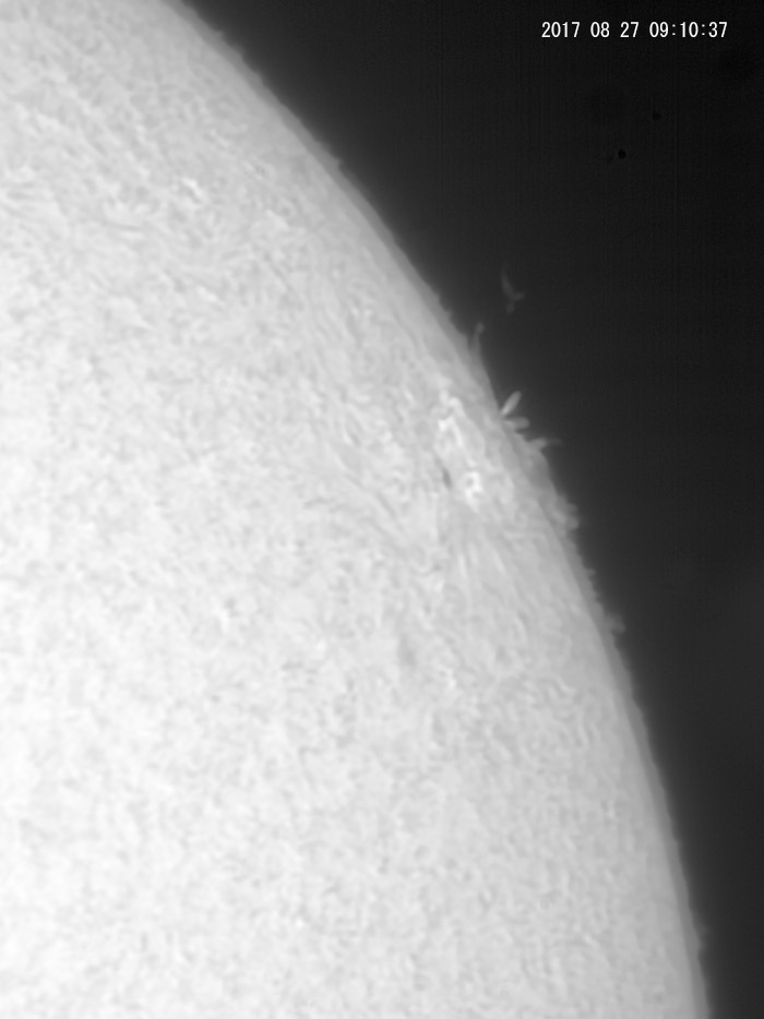 e0174091_17532010.jpg