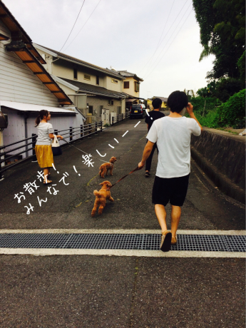 カット_b0370192_15342844.jpg