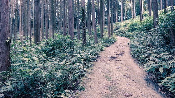 e0176993_06385014.jpg