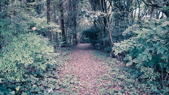 e0176993_06385061.jpg