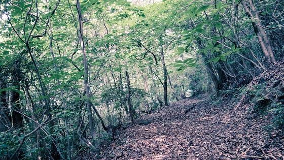 e0176993_06385175.jpg