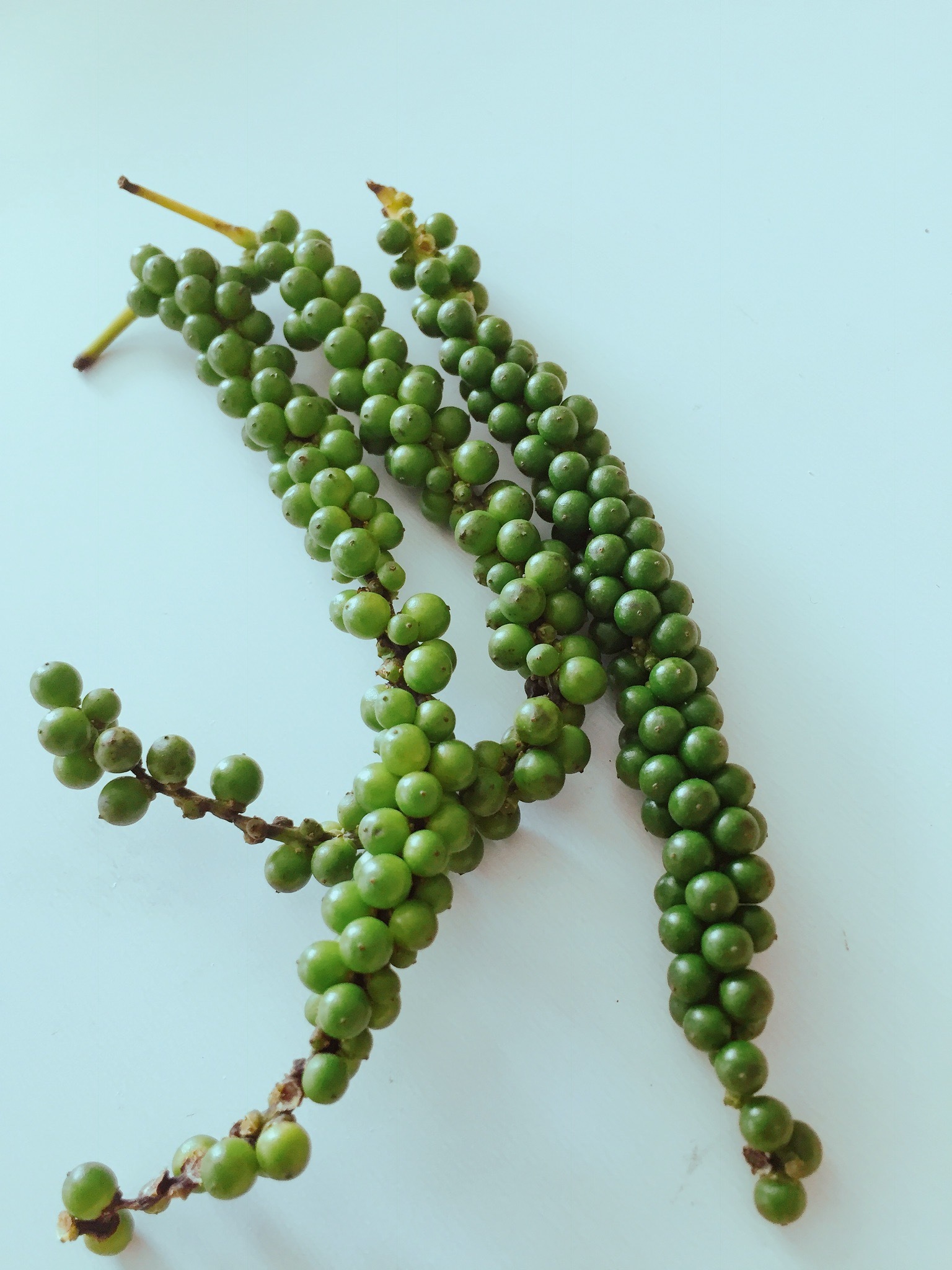 爽やかな香りと辛味がクセになる生胡椒 野菜ソムリエコミュニティbangkok 爽やかな香りと辛味がクセになる生胡椒 野菜ソムリエコミュニティbangkok