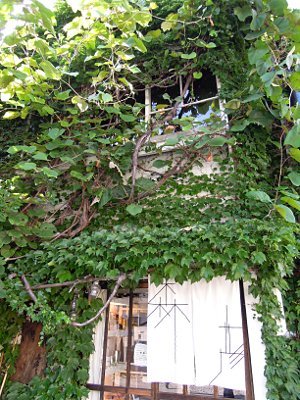 やっと夏休み_b0055196_21293325.jpg