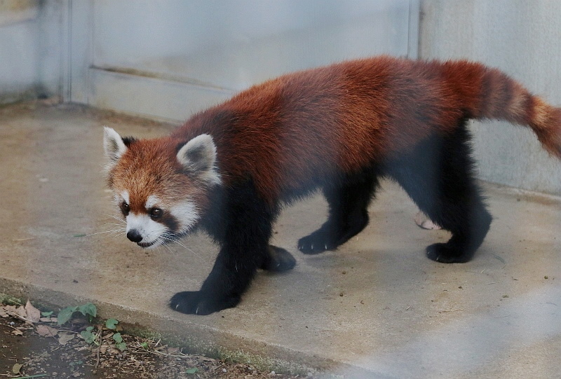 a0306502_22012059.jpg