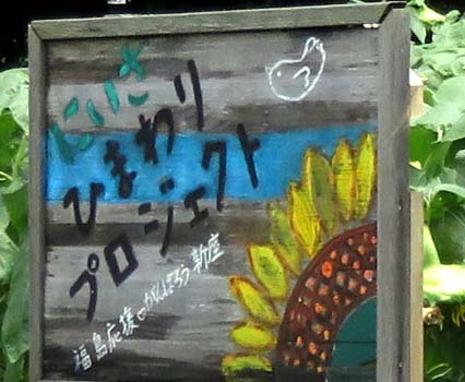 新座市「本多の森お花畑」のヒマワリ_e0255509_2036265.jpg