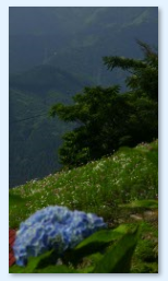f0231709_21265017.png