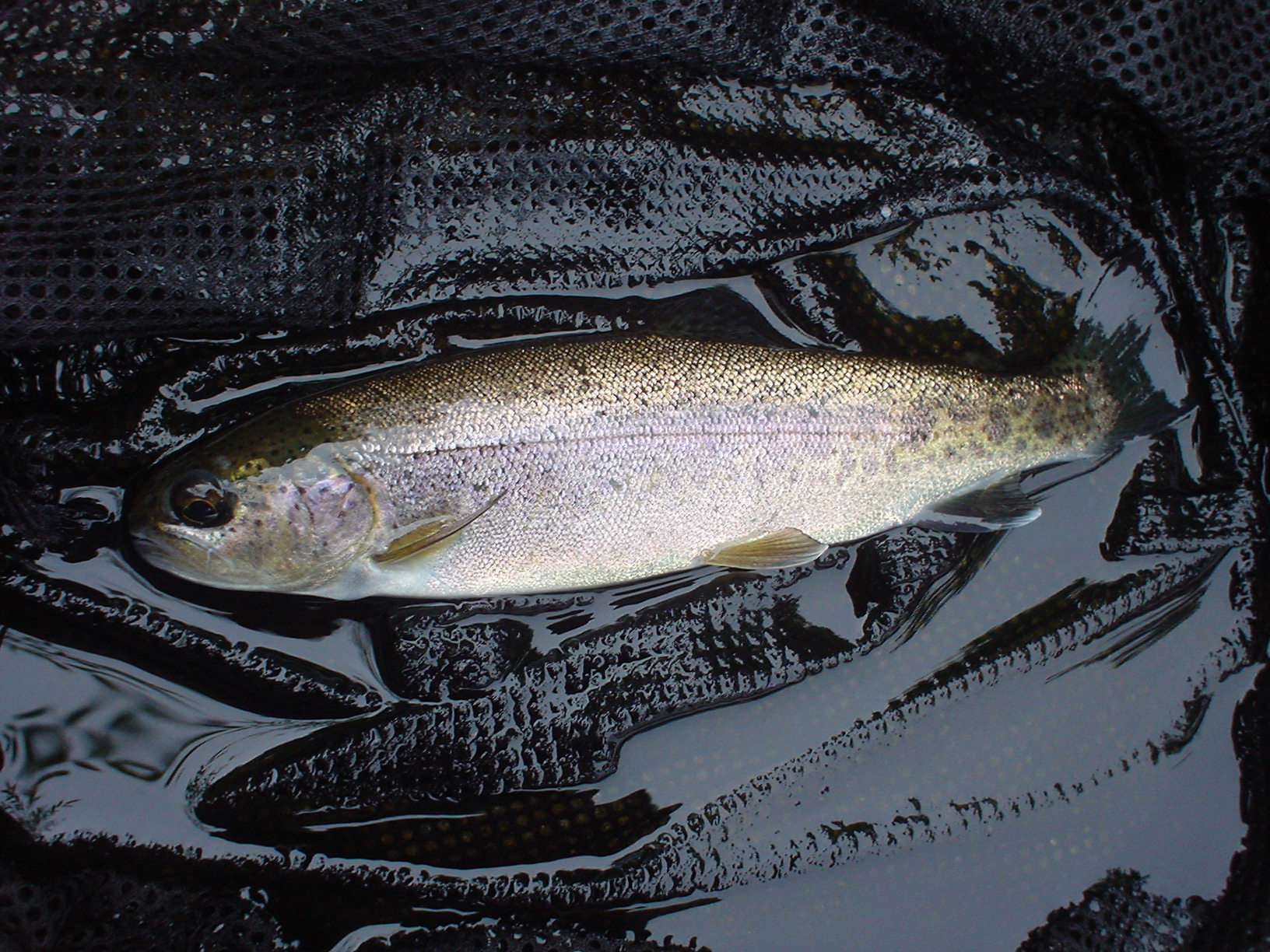 f0280717_15335211.jpg