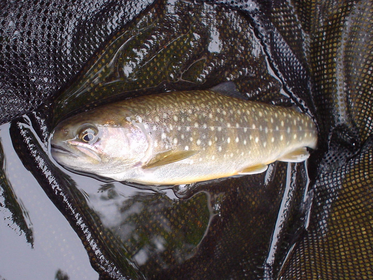 f0280717_15351684.jpg