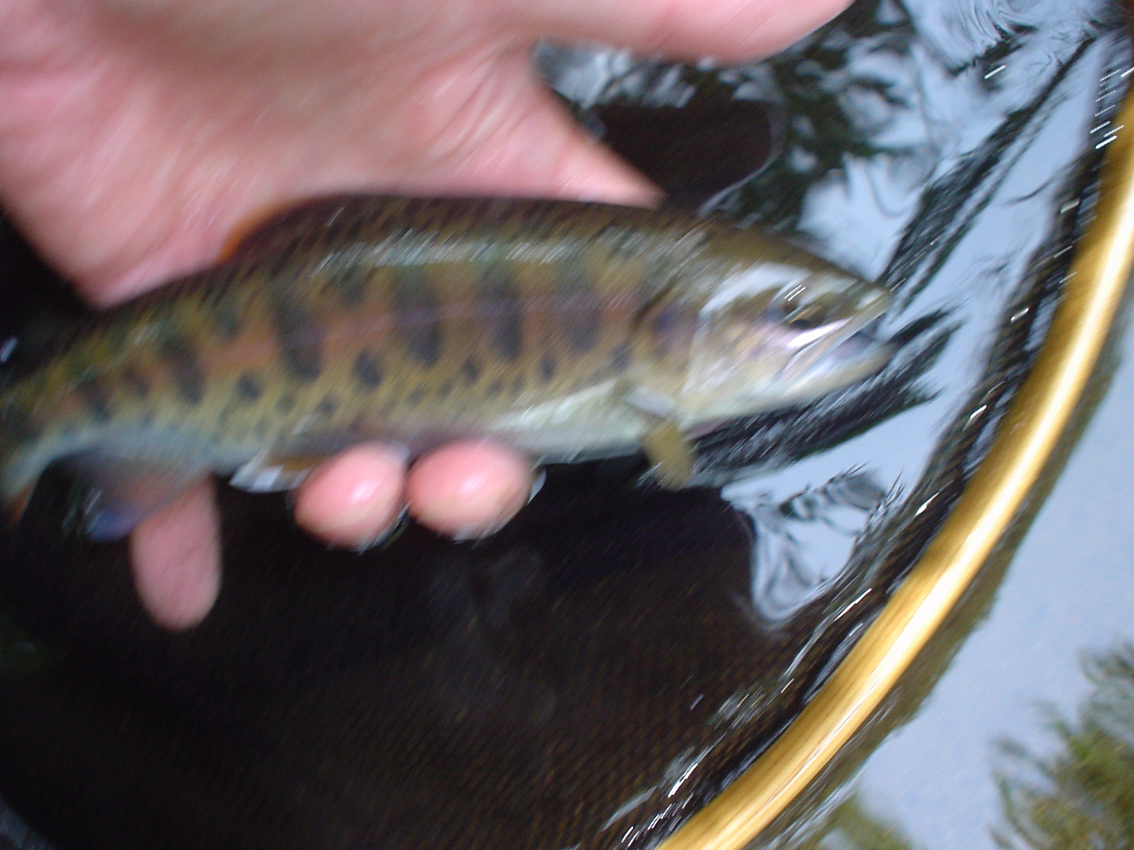 f0280717_15353904.jpg