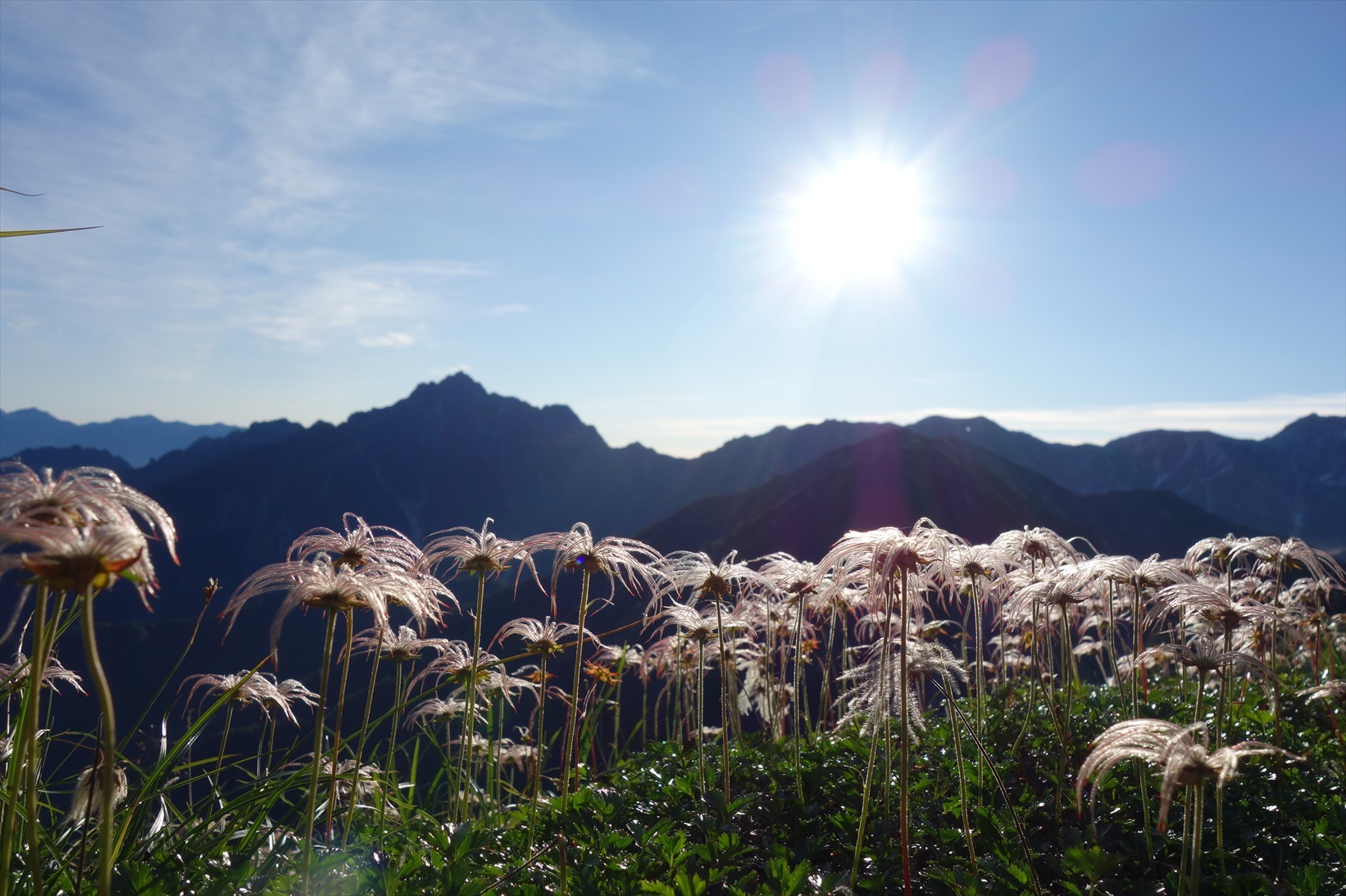 △　劔岳の展望と花の縦走路  大日三山　△_f0348933_22201968.jpg