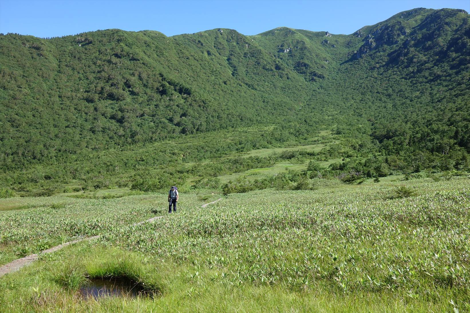 △　劔岳の展望と花の縦走路  大日三山　△_f0348933_22245861.jpg