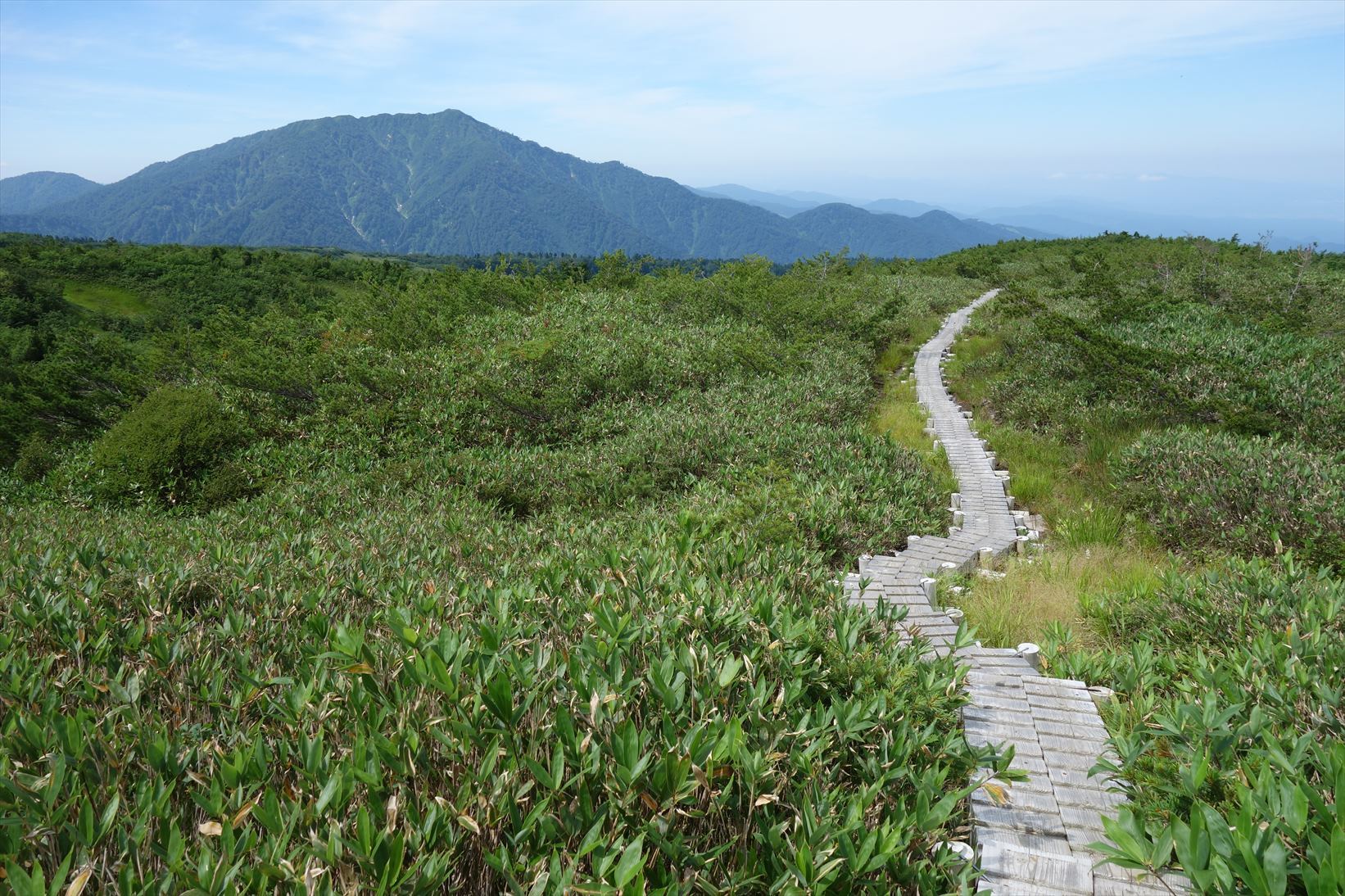 △　劔岳の展望と花の縦走路  大日三山　△_f0348933_22282686.jpg