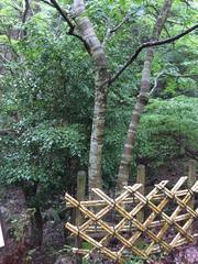 関東三十六不動霊場 その①_d0047440_19282096.jpg