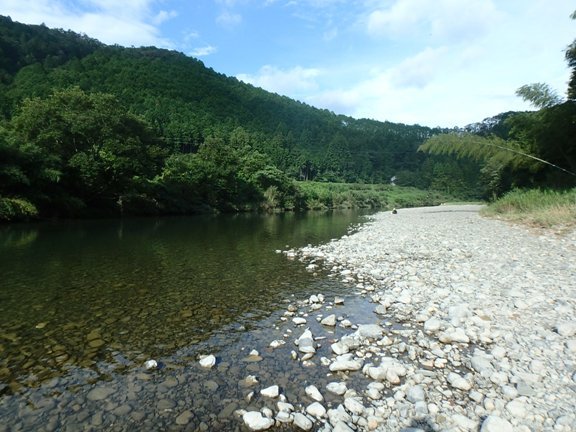 四万十川でキャンプをして、ゴムボートで遊んできました。_a0355346_04550527.jpg