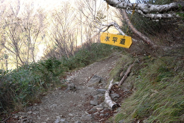 北アルプス登山の旅リターン　12　「爺ヶ岳」_a0288155_15280432.jpg