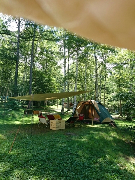 f0046262_05290158.jpg