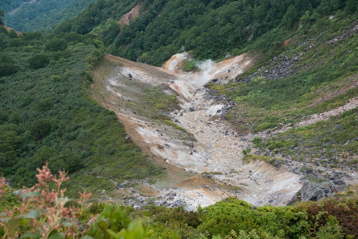 b0281366_13170225.jpg
