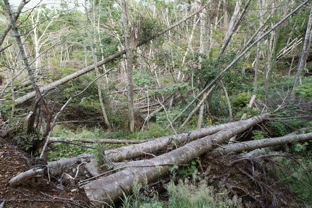 b0281366_13174691.jpg