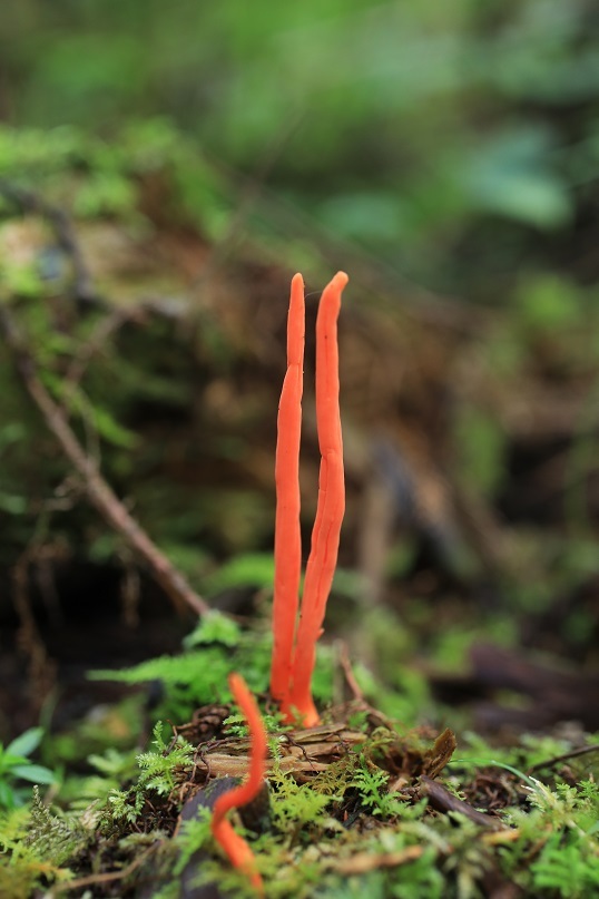 e0304170_20531363.jpg