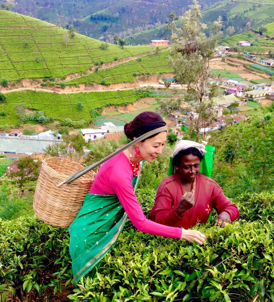スリランカの旅~「ヘリタンス ティー ファクトリー」に滞在✨_a0138976_14035594.jpg