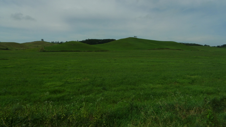 c0212083_17244012.jpg