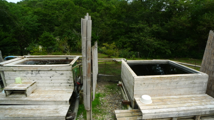 c0212083_17295970.jpg